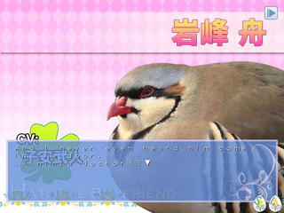 Illustration for article titled I Want Its Plumage, I Want Its Suspense, My Game of the Year Could Be a Bird Romance